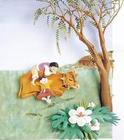 供应立体画、立体照片制作